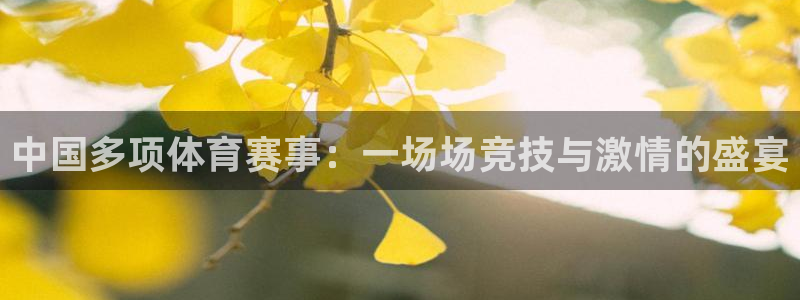 so米直播体育平台直播：中国多项体育赛事：一场场竞技与激情的盛宴