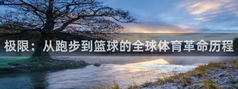 下载so米体育：极限：从跑步到篮球的全球体育革命历程