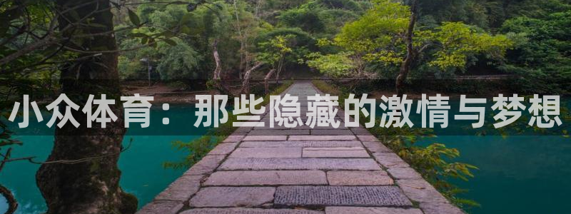 so米下载：小众体育：那些隐藏的激情与梦想