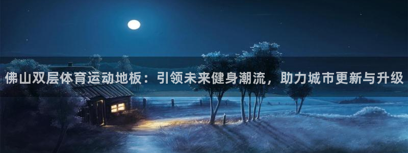 so米：佛山双层体育运动地板：引领未来健身潮流，助力城市更新与升级