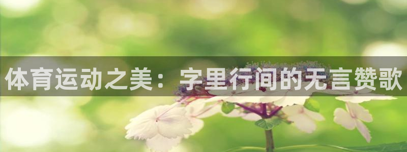 so米体育app下载官方最新版本：体育运动之美：字里行间的无言赞歌
