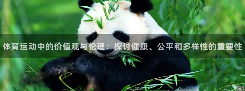 so米体育app官方正版下载：体育运动中的价值观与伦理：探讨健康、公平和多样性的重要性